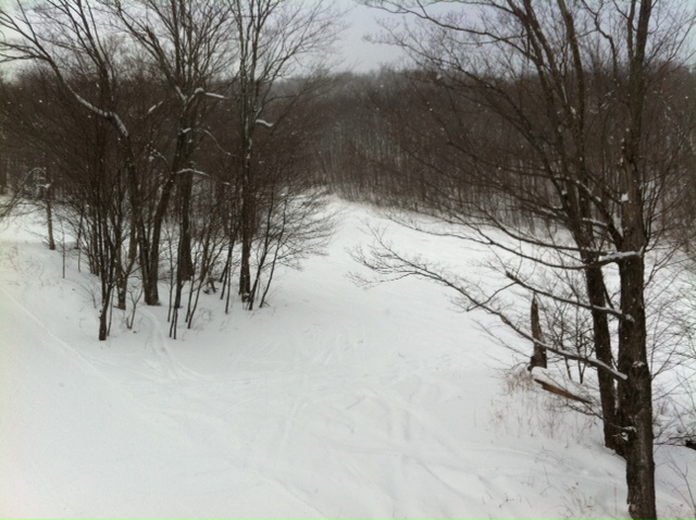 View of some trail off the left lift.
