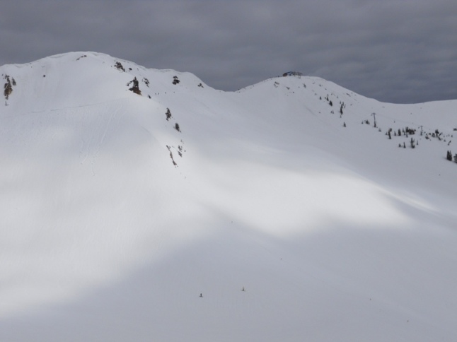 Another look at all the trails starting off of the Path to Paradise.