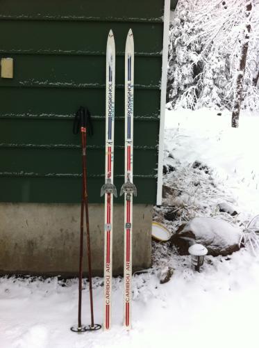 Old skewl XC schwack skis....