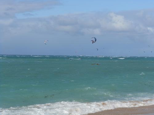kites and boarders