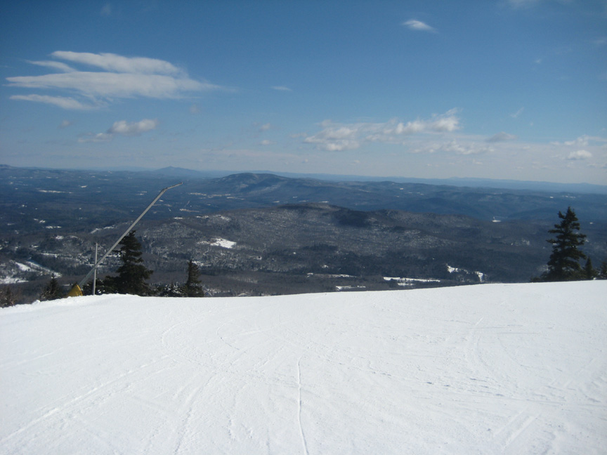 Top of Polar Bear