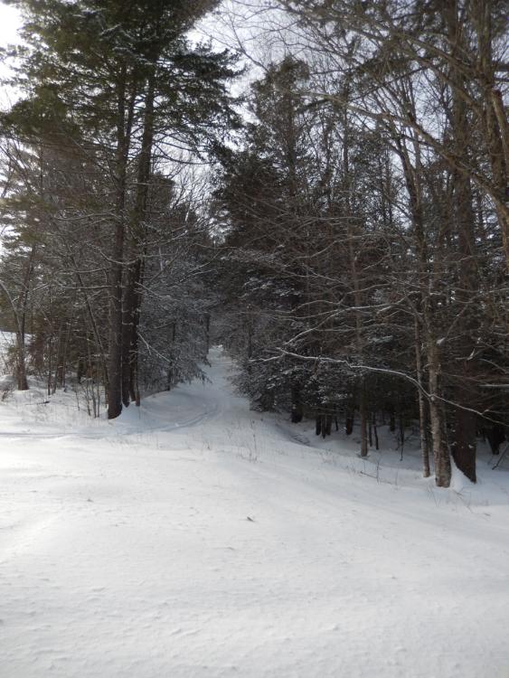 Former Rope Tow Liftline