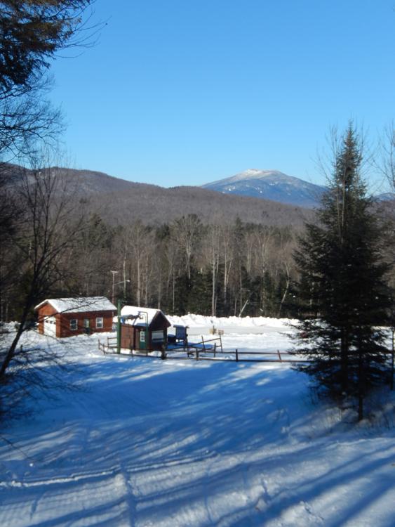 Bottom of woods trail, looking towards Santanoni