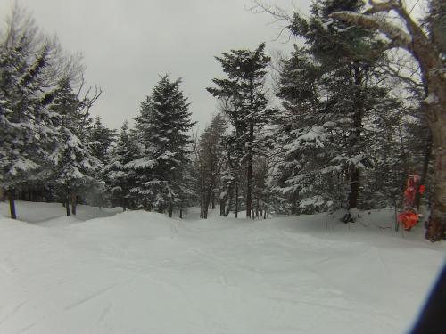 A hidden Glade at Sunapee... 