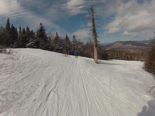 Birch Glades... 