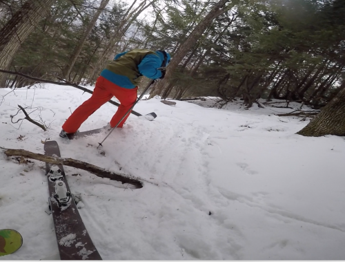 Snow snakes in the woods.