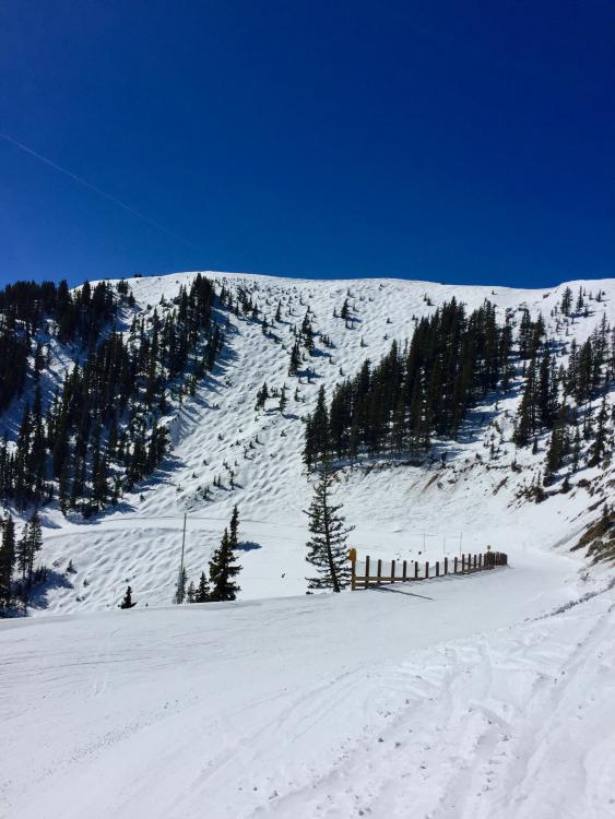 Taos easy to hike to ridge