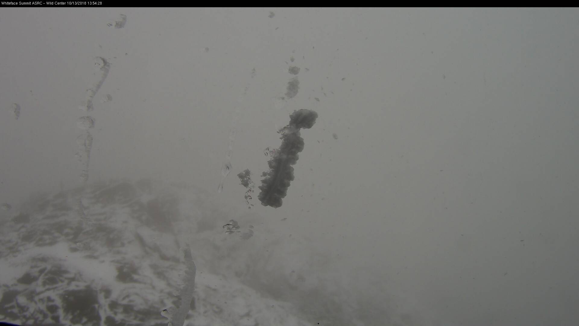 Whiteface summit